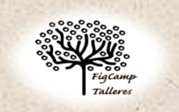 figCamp talleres
